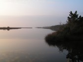 Enlarge photo 87