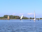 Enlarge photo 36