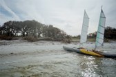 Enlarge photo 59