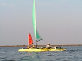 Enlarge photo 40