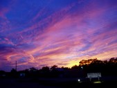 Enlarge photo 66