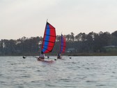 Enlarge photo 64