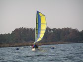Enlarge photo 63