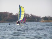 Enlarge photo 33