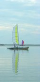 Enlarge photo 70