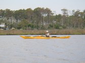 Enlarge photo 81