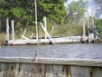 Enlarge photo 57
