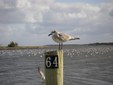 Enlarge photo 58