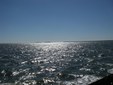Enlarge photo 87