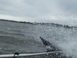 Enlarge photo 35
