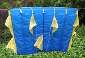 Parafoil Kite