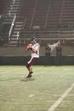 Enlarge photo 231