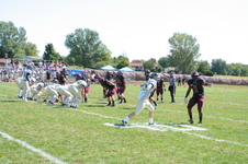 Enlarge photo 511