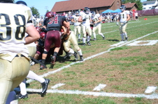 Enlarge photo 549
