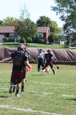 Enlarge photo 46