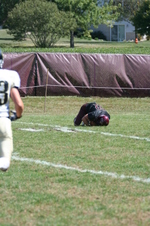 Enlarge photo 139