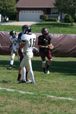 Enlarge photo 230