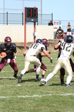 Enlarge photo 251