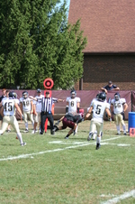Enlarge photo 259