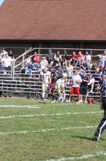 Enlarge photo 273