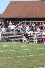 Enlarge photo 274