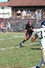 Enlarge photo 335