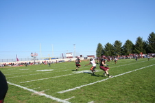 Enlarge photo 152