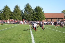 Enlarge photo 157