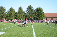 Enlarge photo 158