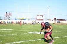Enlarge photo 173