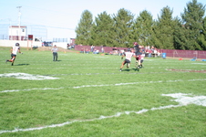 Enlarge photo 197