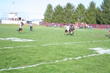 Enlarge photo 198