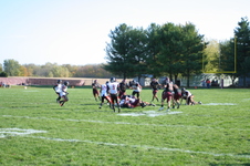 Enlarge photo 207