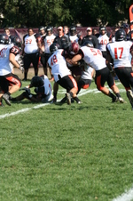 Enlarge photo 11