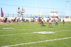 Enlarge photo 216