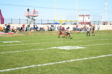 Enlarge photo 217
