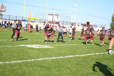 Enlarge photo 223