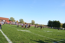 Enlarge photo 230