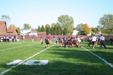 Enlarge photo 242
