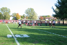 Enlarge photo 247