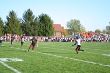 Enlarge photo 248