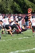 Enlarge photo 53