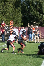 Enlarge photo 77