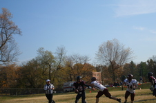 Enlarge photo 50