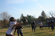 Enlarge photo 53