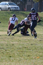 Enlarge photo 245