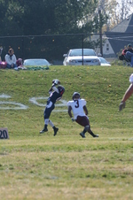Enlarge photo 261