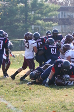 Enlarge photo 267