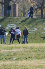 Enlarge photo 147