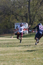 Enlarge photo 151